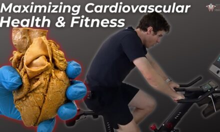 How to Maximize Cardiovascular Health & Fitness | Ft: Yesoul Exercise Bike, Rowing Machine&Treadmill
